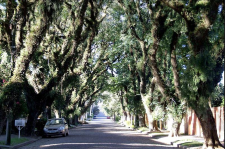 Rua João Mendes Ouriques