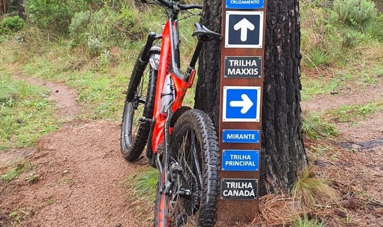 Trilhas no Morro das Abertas - Zona Sul de Porto Alegre